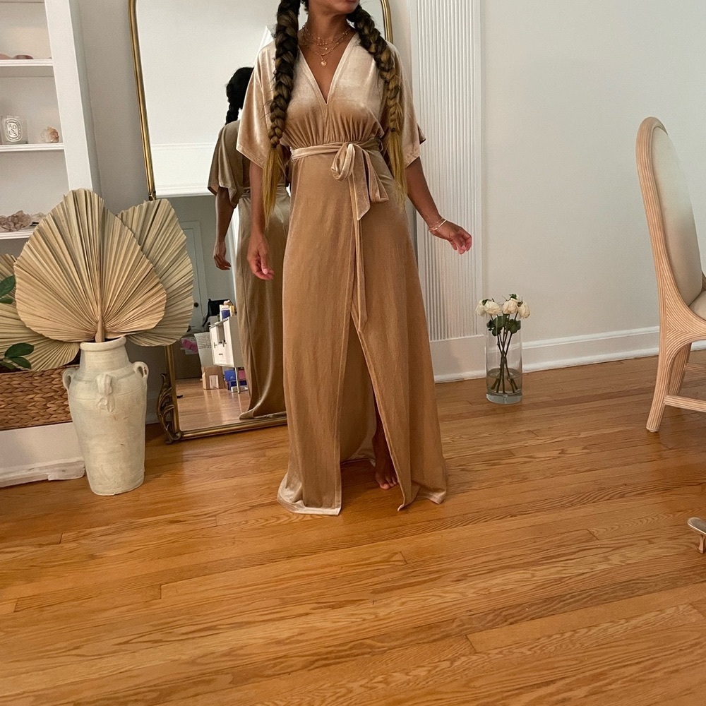 Wyldr velvet tan dress size Xs